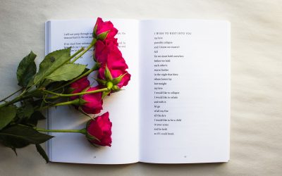 College of Cape Town Poetry Competition 2023 Longlisted Poems